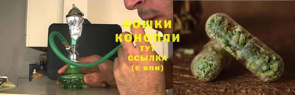 PSILOCYBIN Армянск