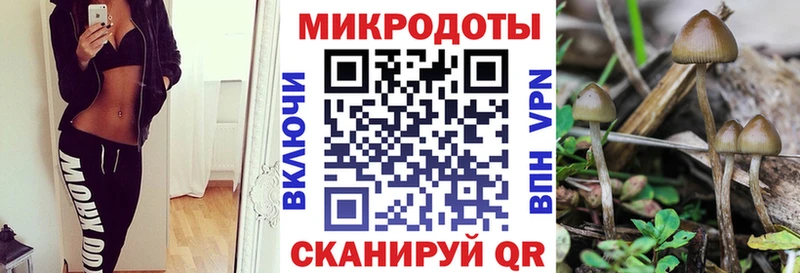 Псилоцибиновые грибы мухоморы где купить наркоту Радужный